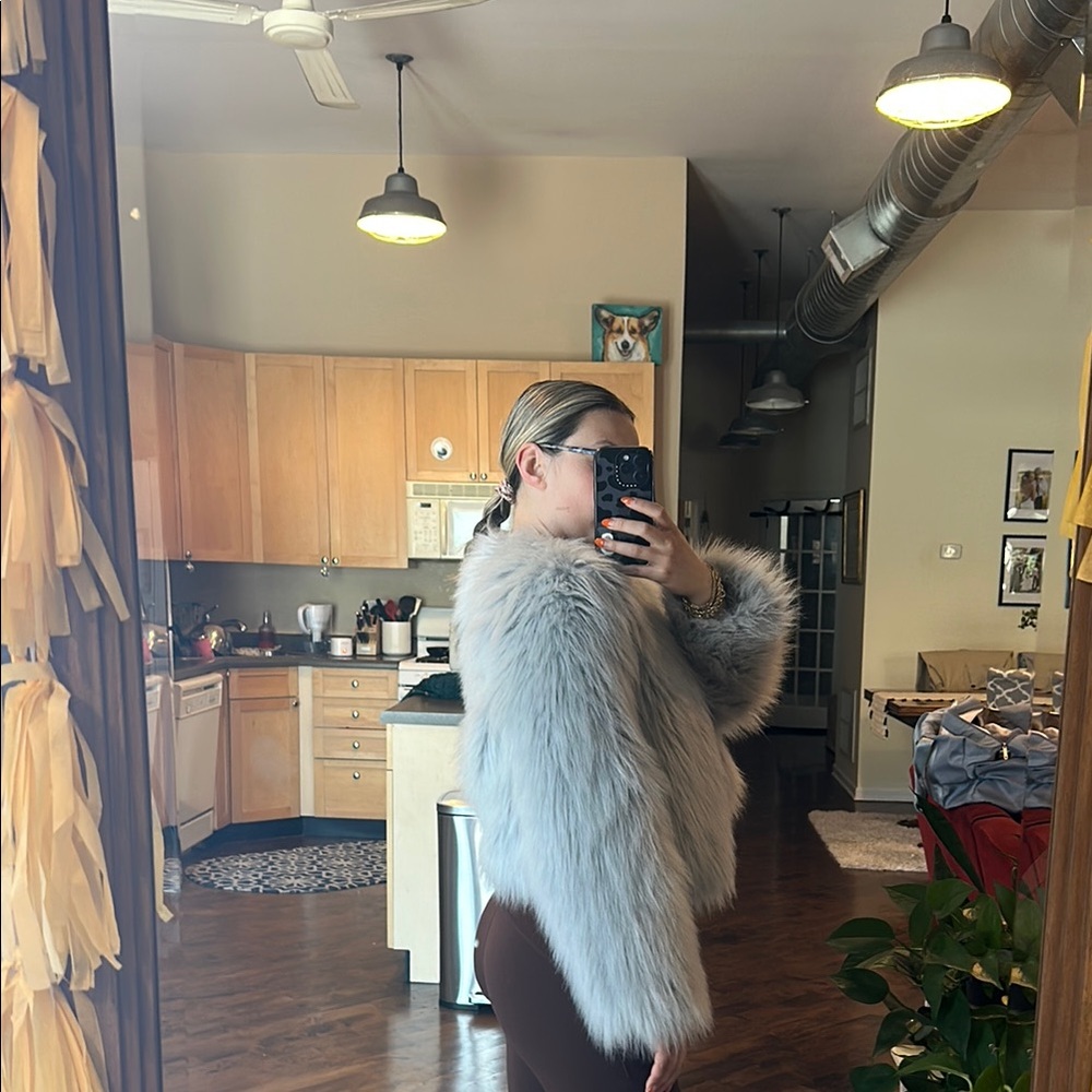 Zara Gray/Light Blue Cropped Plush Faux Fur - Picture 3 of 4